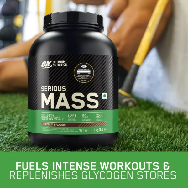 Optimum Nutrition (ON) Serious Mass Weight Gainer Powder (Vegetarian)